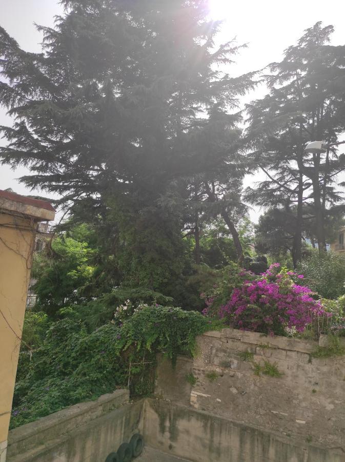 萨莱诺Costa Del Sole住宿加早餐旅馆 外观 照片